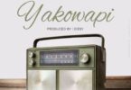 Audio: Mavokali - Yakowapi (Mp3 Download) - KibaBoy