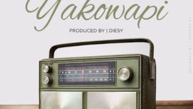 Audio: Mavokali - Yakowapi (Mp3 Download) - KibaBoy