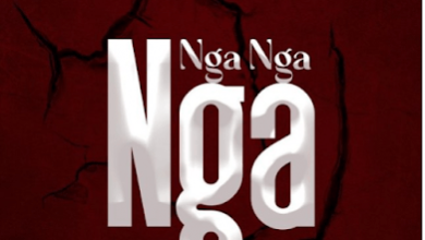 Audio: DJ Ommy Crazy Ft Mr Blue, Young Dee, Dully Sykes, Country Boy - Nga Nga Nga (Mp3 Download) - KibaBoy