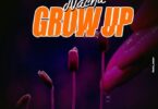 Audio: Nacha - Grow Up (Mp3 Download) - KibaBoy