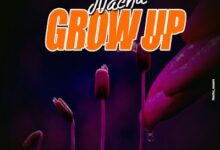 Audio: Nacha - Grow Up (Mp3 Download) - KibaBoy