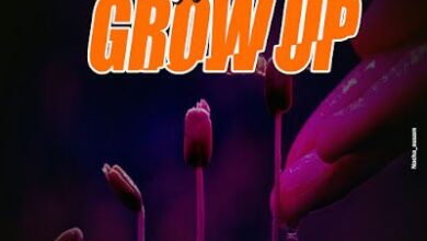 Audio: Nacha - Grow Up (Mp3 Download) - KibaBoy