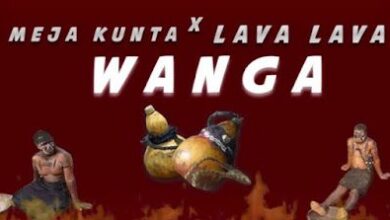 Audio: Meja Kunta x Lava Lava - Wanga (Mp3 Download) - KibaBoy