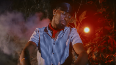 VIDEO: Eddy Kenzo - Tweyagale (Mp4 Download) - KibaBoy