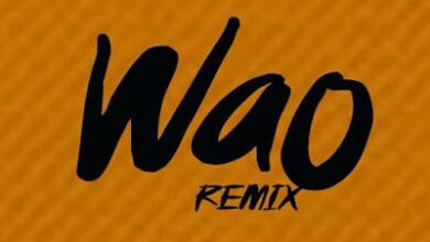 Audio: Mwasiti Ft SebaDon - Wao Remix (Mp3 Download) - KibaBoy