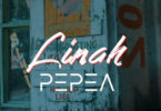 Audio: Linah - Pepea (Mp3 Download) - KibaBoy