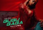 Audio: Lulu Diva Ft Fid Q - Gugugaga (Mp3 Download) - KibaBoy