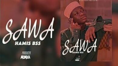 Audio: Hamis Bss - Sawa (Mp3 Download) - KibaBoy