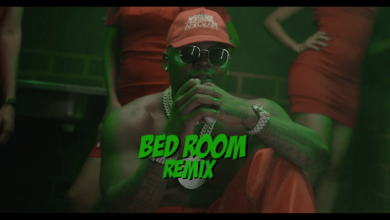 VIDEO: Harmonize Ft Darassa, Country Boy, Young Lunya, Moni Centrozone, Billnass, Rosa Ree, Baghdad - Bedroom Remix (Mp4 Download) - KibaBoy