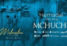 Audio: Hamadai Ft Aslay - Mchuchu (Mp3 Download) - KibaBoy