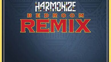 Audio: Harmonize Ft Darassa, Country Boy, Young Lunya, Moni Centrozone, Billnass, Rosa Ree, Baghdad - Bedroom Remix (Mp3 Download) - KibaBoy