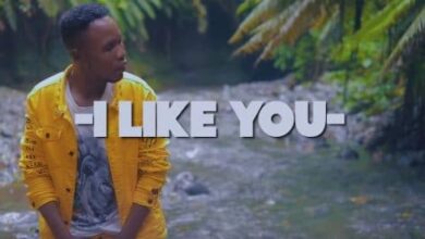 VIDEO: Baba Sillah ft Marynaya - I Like You (Mp4 Download) - KibaBoy