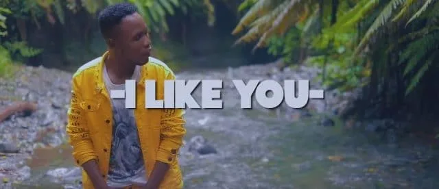 VIDEO: Baba Sillah ft Marynaya - I Like You (Mp4 Download)