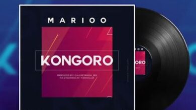 Audio: Marioo - Kongoro (Mp3 Download) - KibaBoy