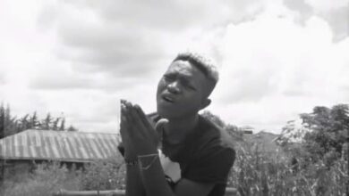 VIDEO: Mr Seed - Mapito (Mp4 Download) - KibaBoy