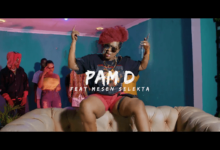 VIDEO: Pam D Ft. Mesen Selekta - Umeniweza (Mp4 Download) - KibaBoy