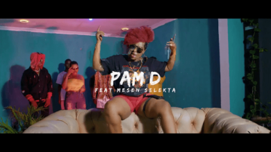 VIDEO: Pam D Ft. Mesen Selekta - Umeniweza (Mp4 Download) - KibaBoy