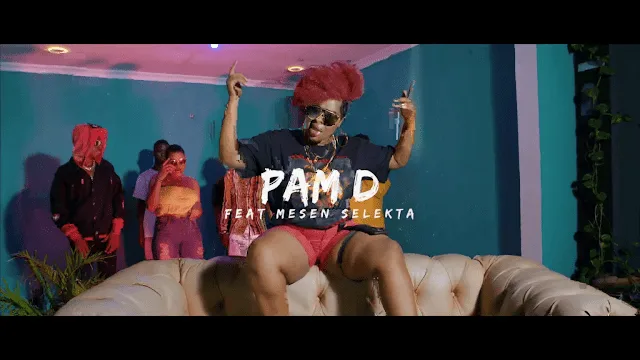 VIDEO: Pam D Ft. Mesen Selekta - Umeniweza (Mp4 Download)