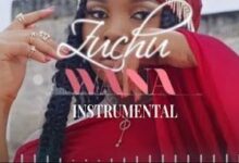 Audio: Zuchu - Wana Instrumental (Beat) (Mp3 Download) - KibaBoy