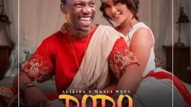 Audio: Alikiba X Mkaliwenu - Dodo Remix (Mp3 Download)