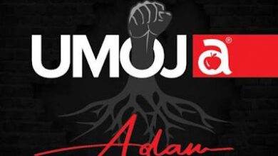 Audio: Adam Mchomvu Ft Country Wizzy - Umoja (Mp3 Download) - KibaBoy