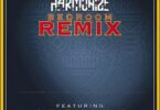 Audio: Harmonize Ft Grenade - Bedroom Remix (Mp3 Download) - KibaBoy