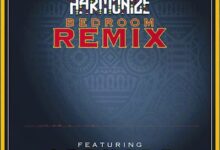 Audio: Harmonize Ft Grenade - Bedroom Remix (Mp3 Download) - KibaBoy