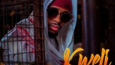 Audio: Meda - Kweli (Mp3 Download) - KibaBoy