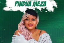 Audio: Shilole - Pindua Meza (Mp3 Download) - KibaBoy