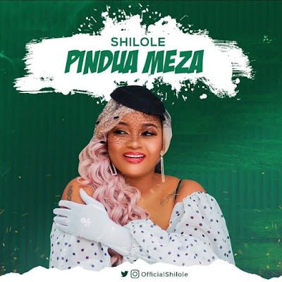 Audio: Shilole - Pindua Meza (Mp3 Download) - KibaBoy