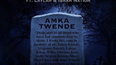 Audio: Wakazi Ft Laylah Ibrahnation - Amka Twende (Mp3 Download) - KibaBoy