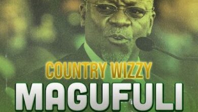 Audio: Country Wizzy - Magufuli (Zee La Kukomesha) (Mp3 Download) - KibaBoy