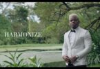 VIDEO: Harmonize Ft Lady Jaydee - Wife (Mp4 Download) - KibaBoy