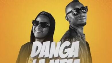 Audio: Sholo Mwamba Ft. Mc Jully - DANGA LA MTAA (Mp3 Download) - Kibaboy