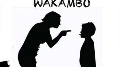 Audio: Msaga Sumu - Mama Wa Kambo (Mp3 Download) - KibaBoy