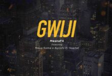 Audio: Mwana FA Ft. Maua Sama & Nyoshi El Saadat - Gwiji (Mp3 Download) - KibaBoy