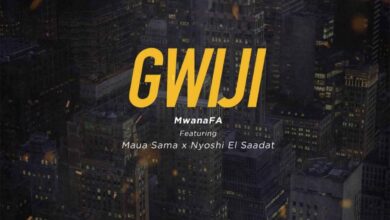 Audio: Mwana FA Ft. Maua Sama & Nyoshi El Saadat - Gwiji (Mp3 Download) - KibaBoy