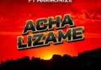 Audio: Nandy Ft Harmonize - Acha Lizame (Mp3 Download) - KibaBoy