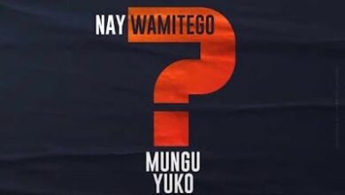 Audio: Nay Wa Mitego Ft Shamy - Mungu Yuko Wapi (Mp3 Download) - KibaBoy