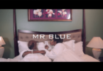 VIDEO: Mr Blue - Mautundu (Mp4 Download) - KibaBoy