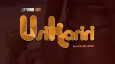 Audio: Jumanne Iddy Ft. Msaga Sumu - Usikariri (Mp3 Download)