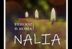 Audio: Ferooz Ft. Roma - Nalia (Mp3 Download) - KibaBoy