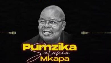 Audio: Beka Flavour - Pumzika Salama (Mp3 Download) - KibaBoy