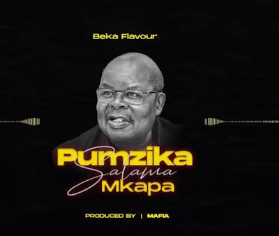 Audio: Beka Flavour - Pumzika Salama (Mp3 Download) - KibaBoy