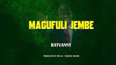 Audio: Rayvanny - Magufuli Jembe (Mp3 Download) - KibaBoy