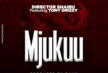 Audio: Diretor Shaibu Ft. Tony Drizzy - Mjukuu (Mp3 Download) - KibaBoy