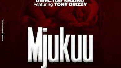 Audio: Diretor Shaibu Ft. Tony Drizzy - Mjukuu (Mp3 Download) - KibaBoy