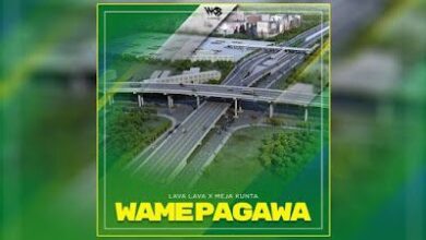 Audio: Lava Lava X Meja Kunta - Wamepagawa (Mp3 Download) - KibaBoy