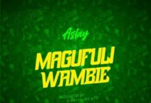 Audio: Aslay - Magufuli Wambie (Mp3 Download) - KibaBoy