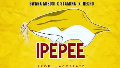 Audio: Bwana Misosi x Stamina x Recho - Ipepee (Mp3 Download) - KibaBoy